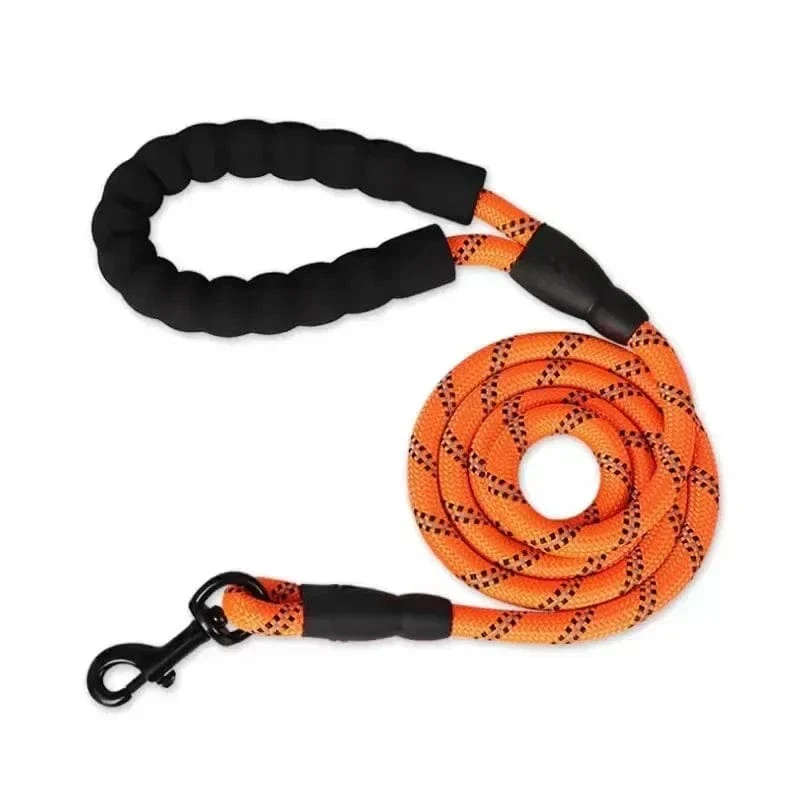 Laisse Réfléchissante Nylon Gros Chien Multisize