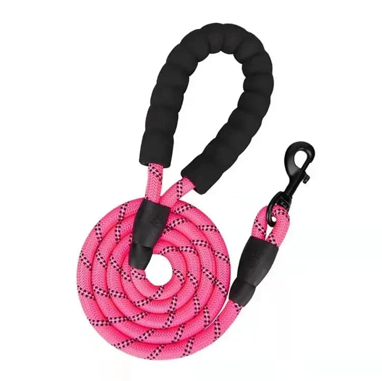 Laisse Réfléchissante Nylon Gros Chien Multisize