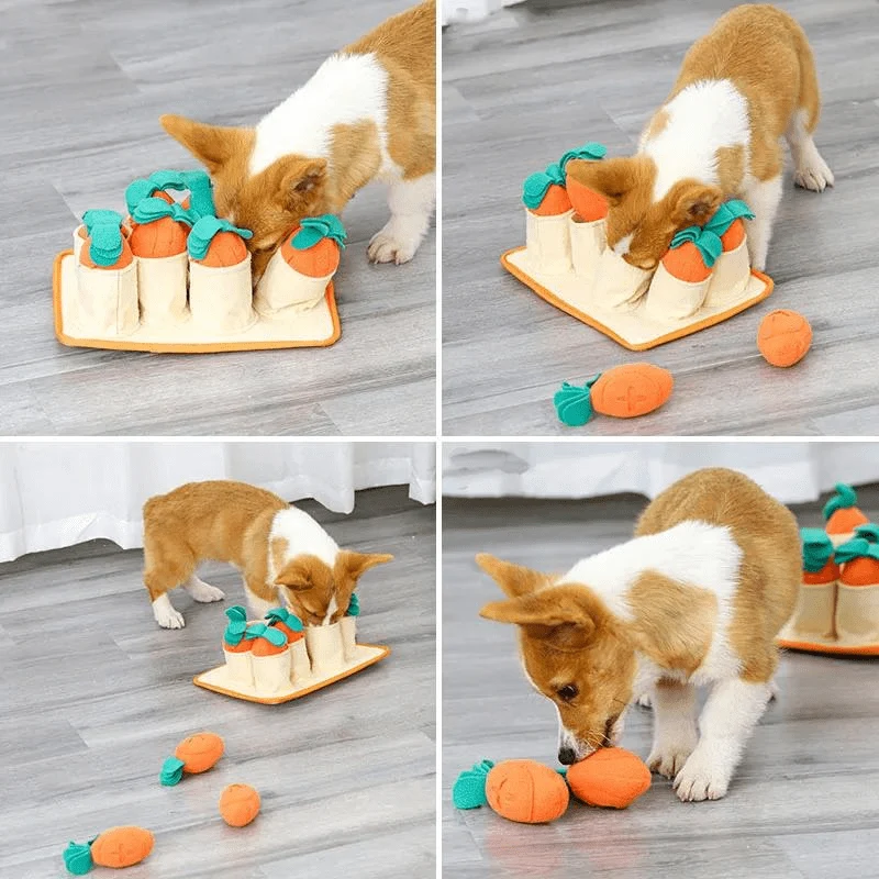 Tapis Fouille Carotte Chien Jeu Olfactif