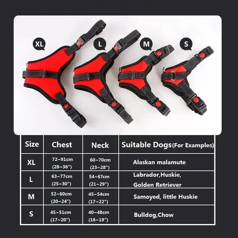Harnais Anti-Traction Gros Chien Rembourré Réglable
