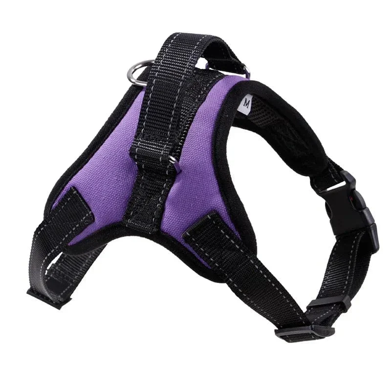 Harnais Anti-Traction Gros Chien Rembourré Réglable