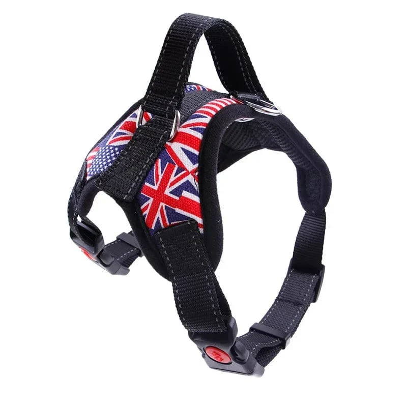 Harnais Anti-Traction Gros Chien Rembourré Réglable