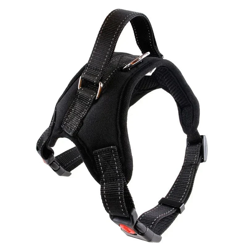 Harnais Anti-Traction Gros Chien Rembourré Réglable