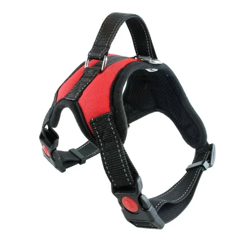 Harnais Anti-Traction Gros Chien Rembourré Réglable
