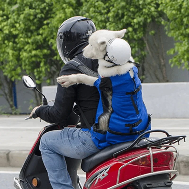 Sac Moto Chien Sécurisé Transport Grande Race