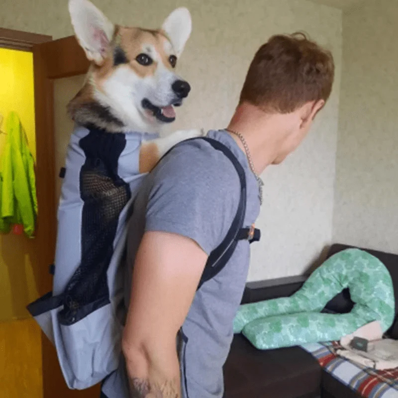Sac Moto Chien Sécurisé Transport Grande Race