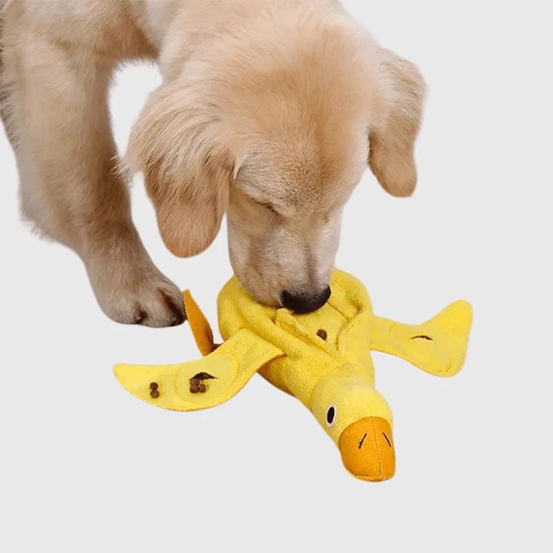 Tapis Fouille Canard Jeu Olfactif Chien
