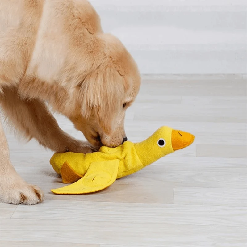 Tapis Fouille Canard Jeu Olfactif Chien