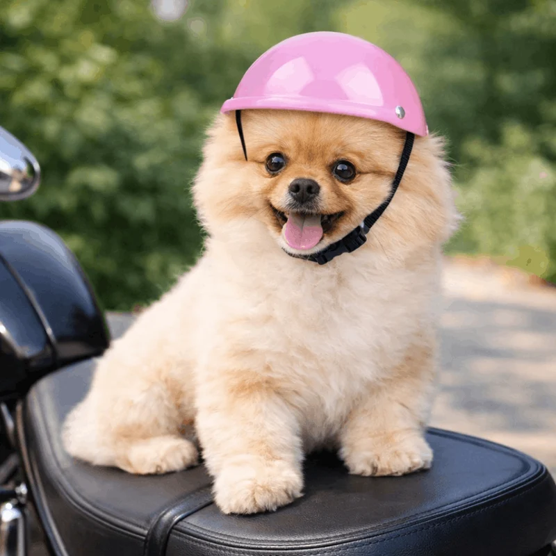 Casque Protection Chien Moto Style