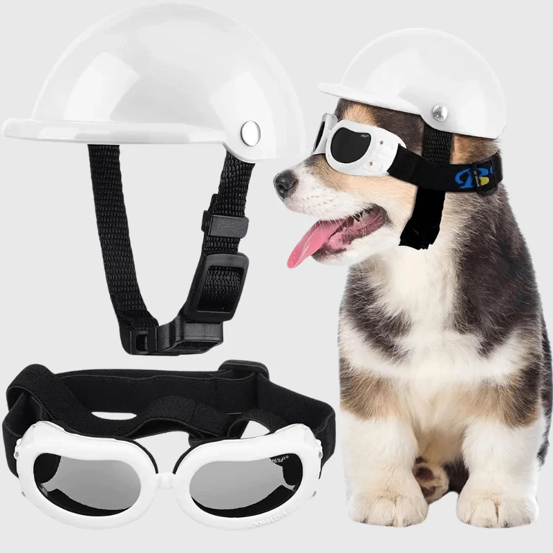 Casque Protection Chien Moto Style
