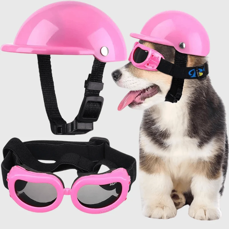 Casque Protection Chien Moto Style