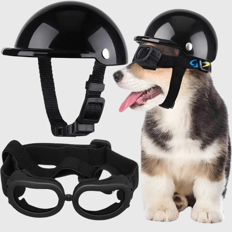 Casque Protection Chien Moto Style