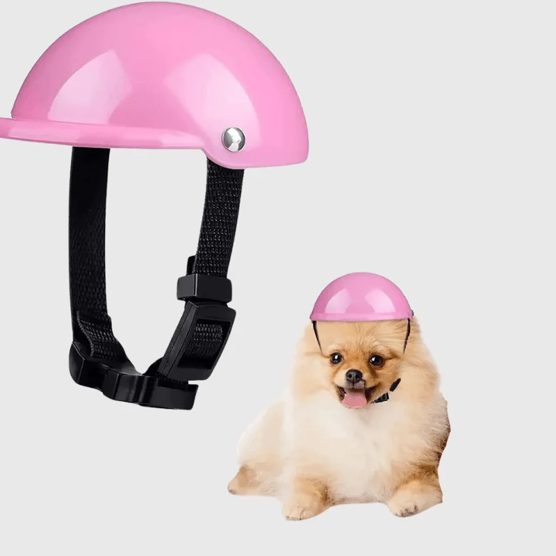 Casque Protection Chien Moto Style