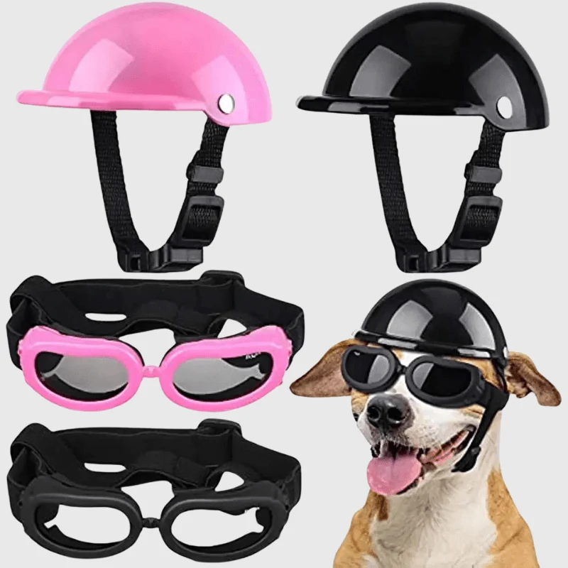 Casque Protection Chien Moto Style