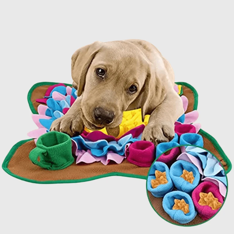 Tapis Fouille Stimulation Mentale Chien