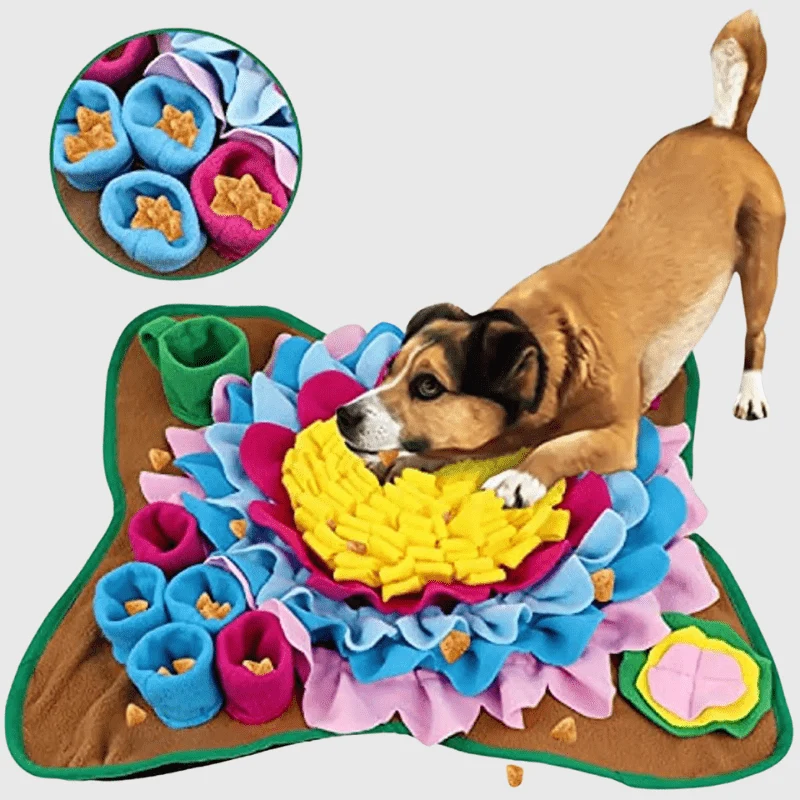 Tapis Fouille Stimulation Mentale Chien