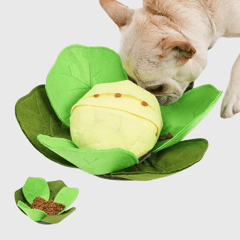 Tapis Fouille Chou-Fleur Olfactif Chien