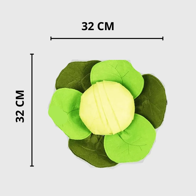 Tapis Fouille Chou-Fleur Olfactif Chien