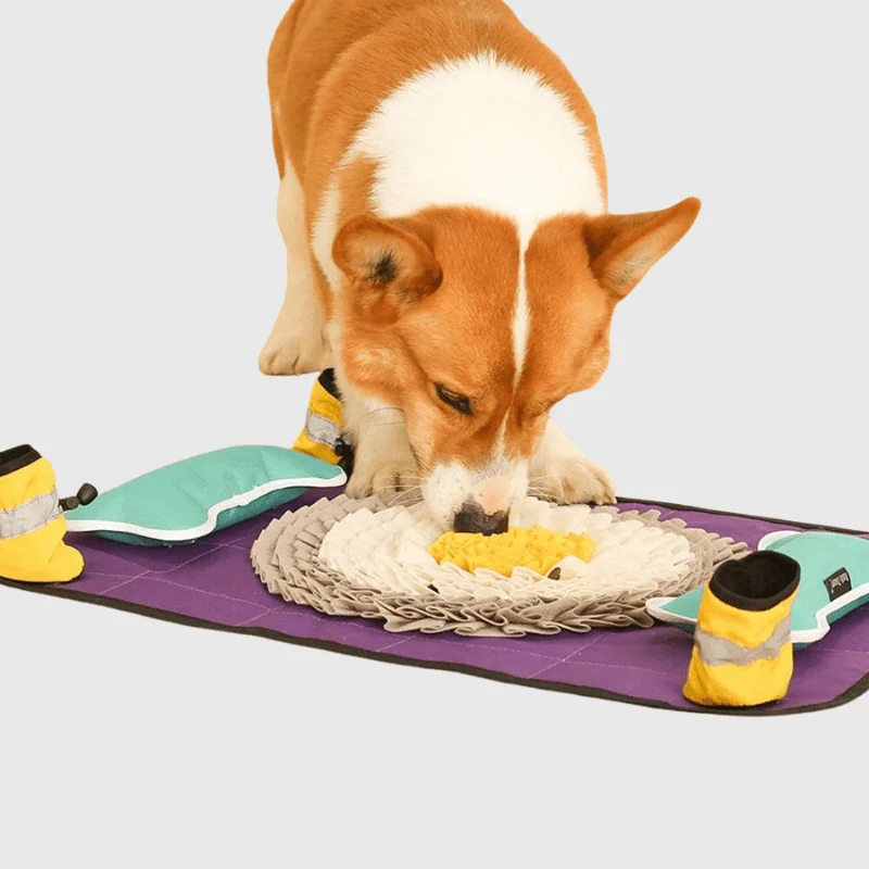 Tapis Fouille Stimulation Mentale Gros Chien