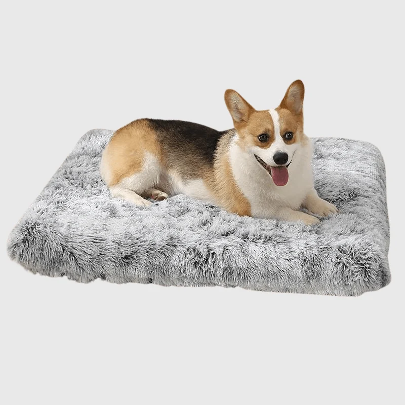 Lit Orthopédique XXL Gros Chien Lavable