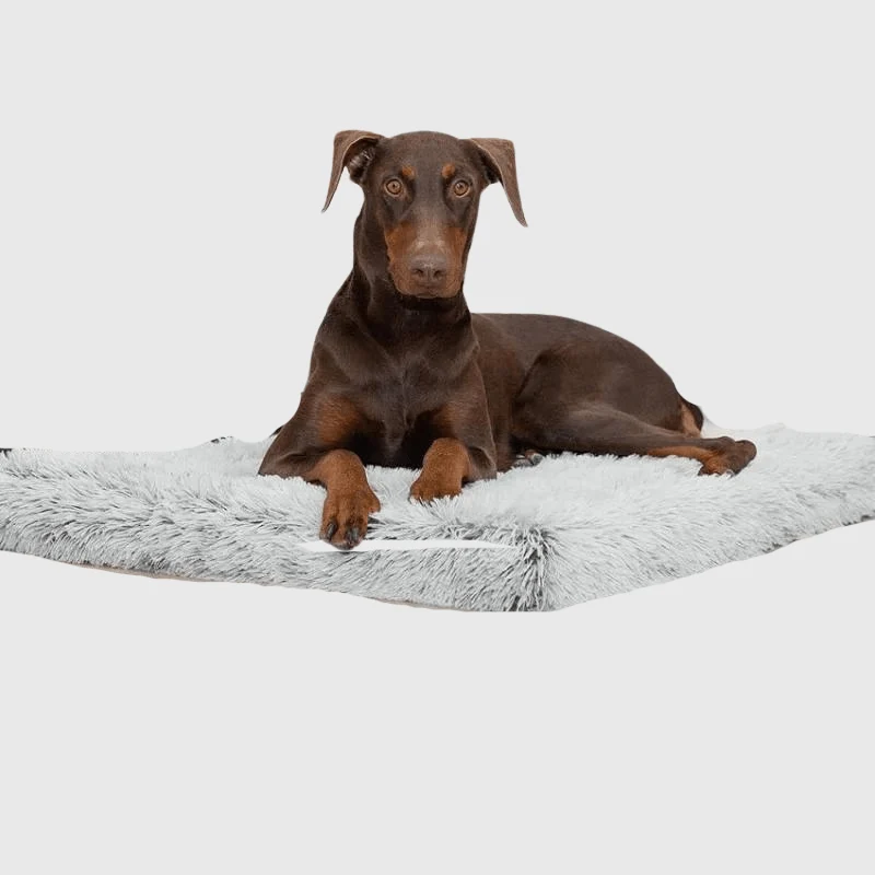 Lit Orthopédique XXL Gros Chien Lavable