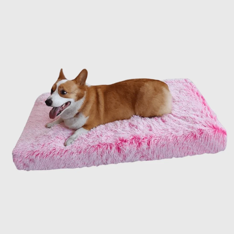Lit Orthopédique XXL Gros Chien Lavable