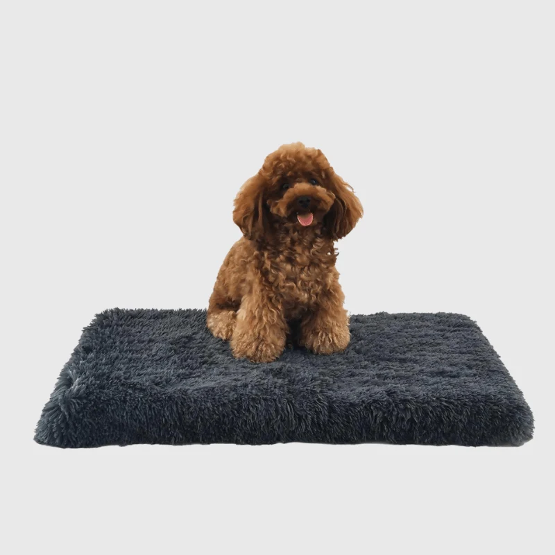 Tapis Déhoussable Confort Gros Chien XL