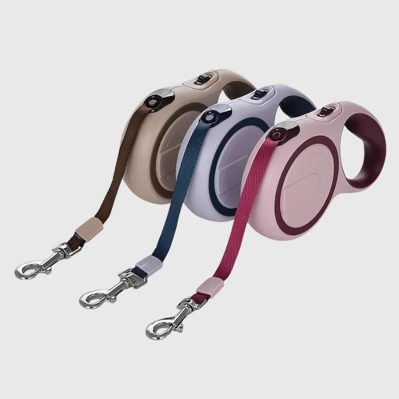 Laisse Rétractable Gros Chien Freinage Rapide