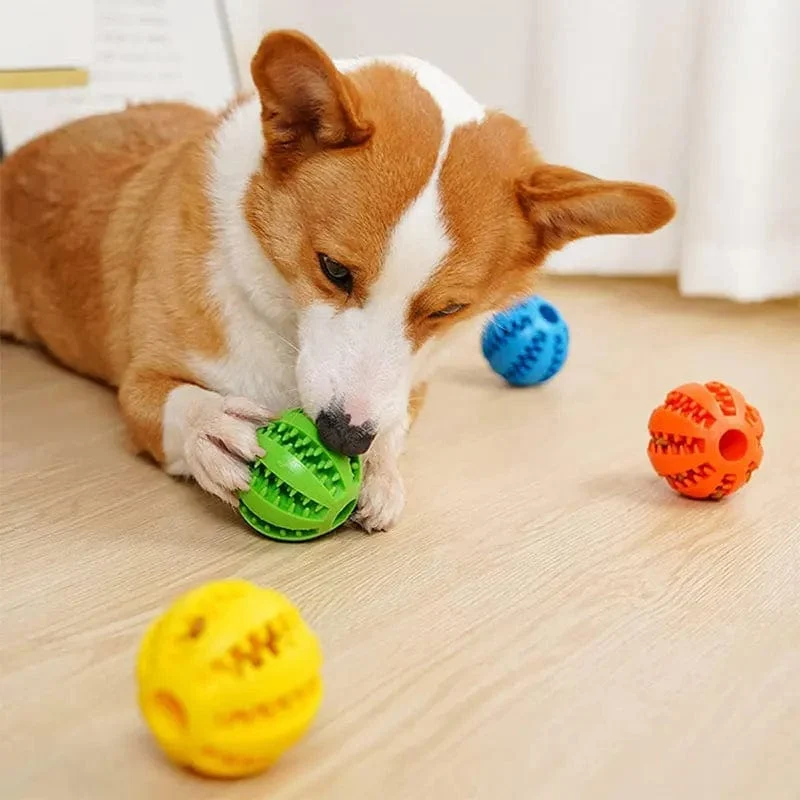 Balle Mâcher Interactive Caoutchouc Chien