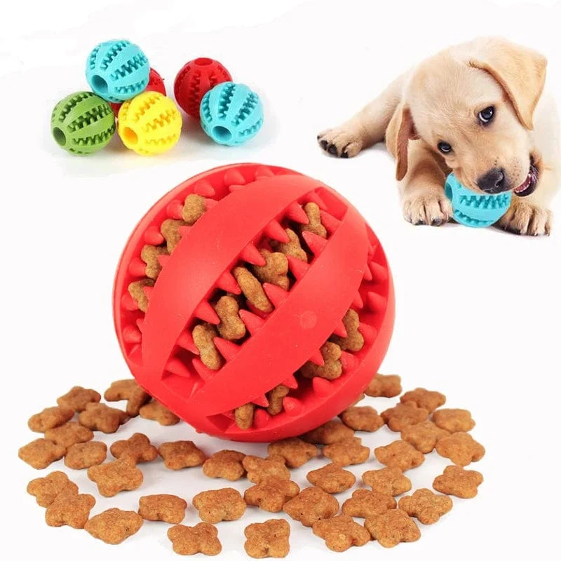 Balle Mâcher Interactive Caoutchouc Chien