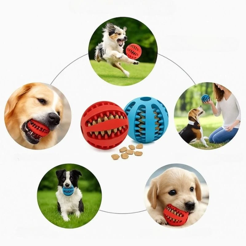 Balle Mâcher Interactive Caoutchouc Chien