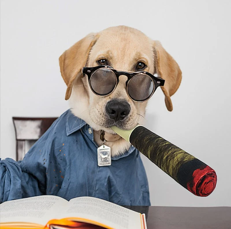 Jouet Cigare Couineur Anti-Stress Chien