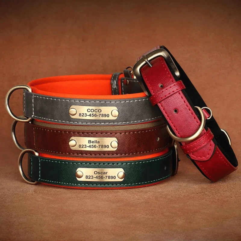 Collier Nylon Plaque Personnalisée Gros Chien