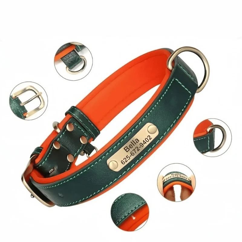 Collier Nylon Plaque Personnalisée Gros Chien