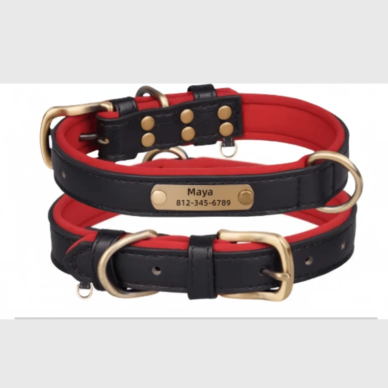 Collier Nylon Plaque Personnalisée Gros Chien