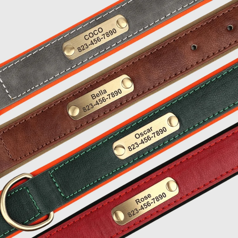 Collier Nylon Plaque Personnalisée Gros Chien