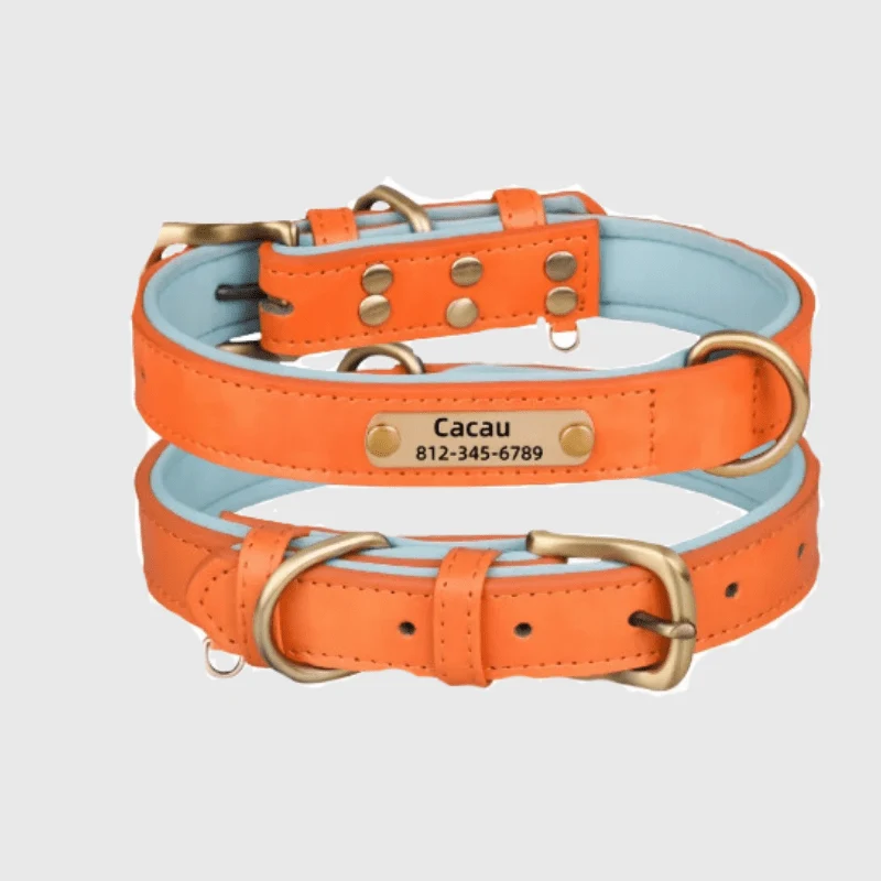 Collier Nylon Plaque Personnalisée Gros Chien