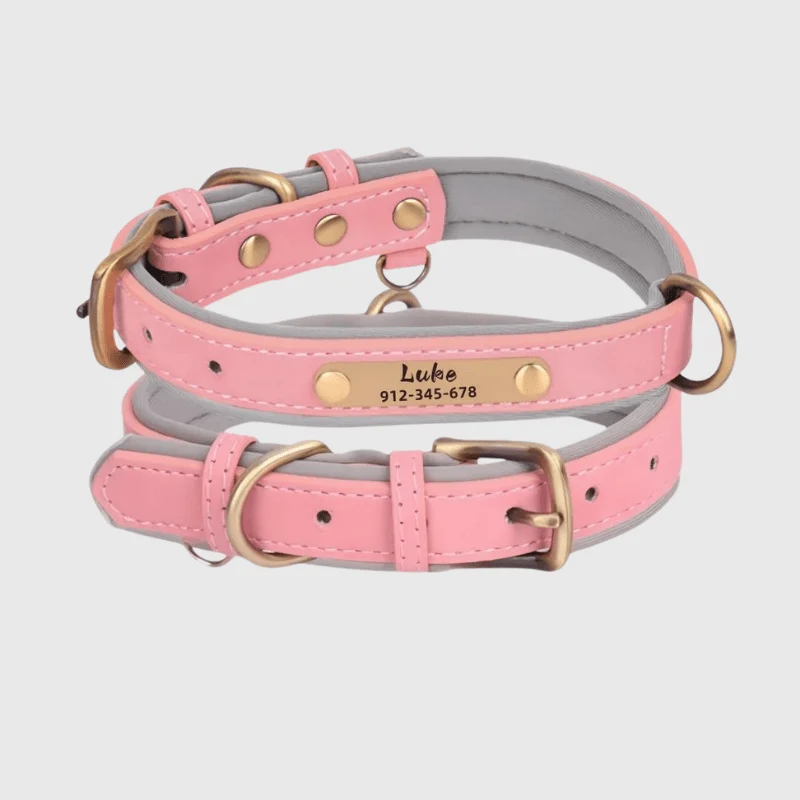 Collier Nylon Plaque Personnalisée Gros Chien