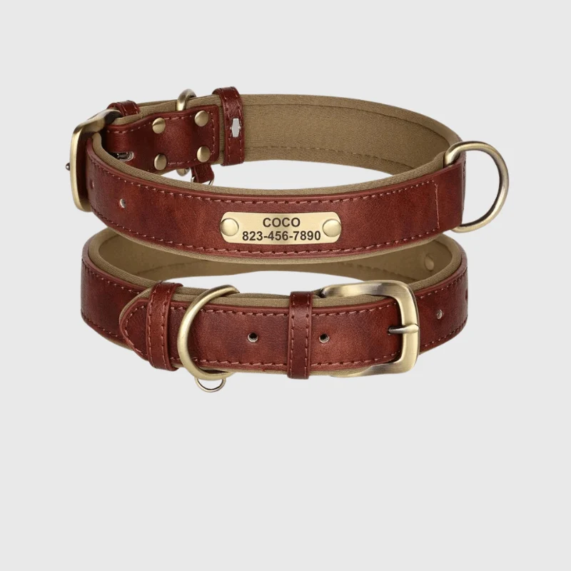 Collier Nylon Plaque Personnalisée Gros Chien