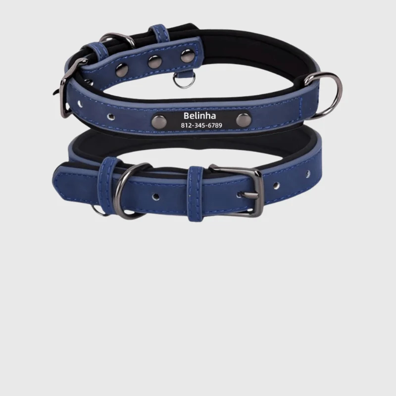 Collier Nylon Plaque Personnalisée Gros Chien