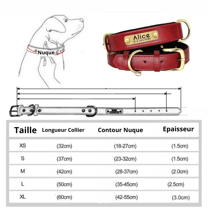 Collier Nylon Plaque Personnalisée Gros Chien
