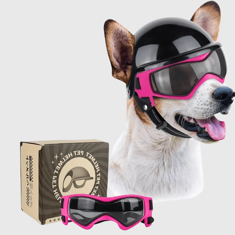 Casque Moto Chien Protection Lunettes Style