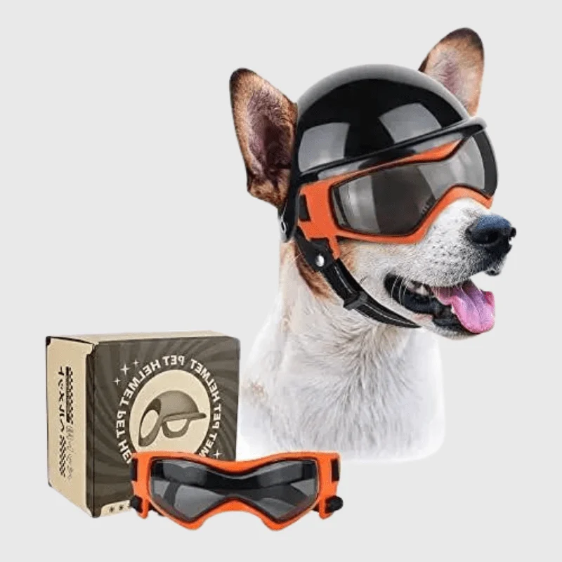 Casque Moto Chien Protection Lunettes Style