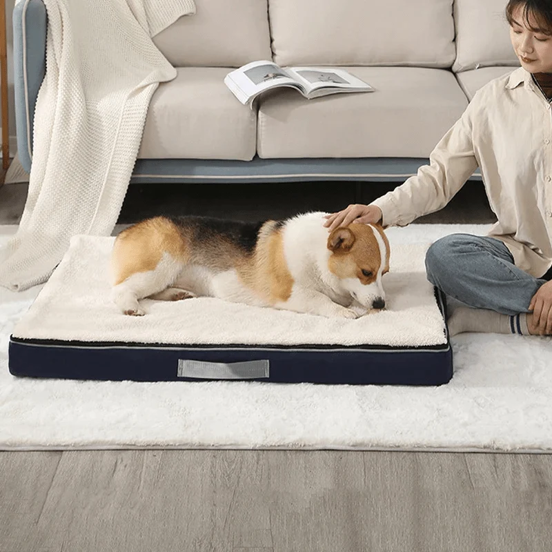 Coussin Déhoussable Orthopédique XXL Gros Chien