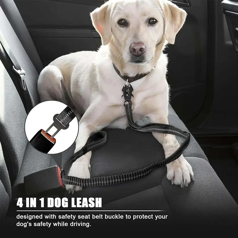 Laisse Élastique Anti-Choc Gros Chien 120cm