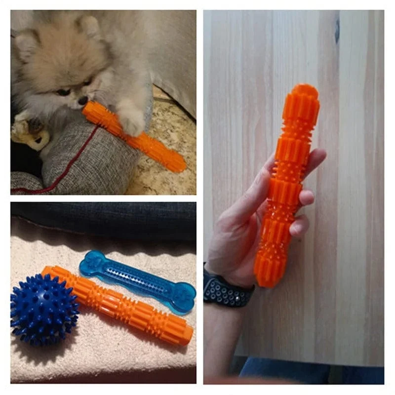 Jouet Caoutchouc Couineur Chien Mâcheur