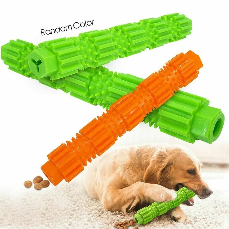 Jouet Caoutchouc Couineur Chien Mâcheur