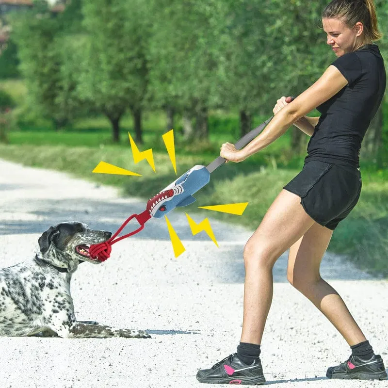 Jouet Traction Interactif Gros Chien