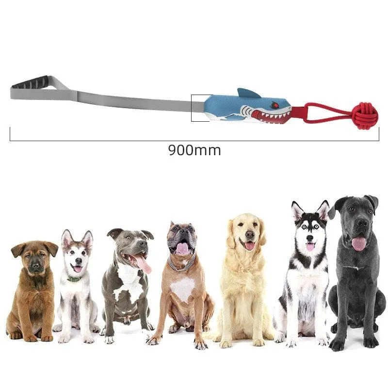 Jouet Traction Interactif Gros Chien
