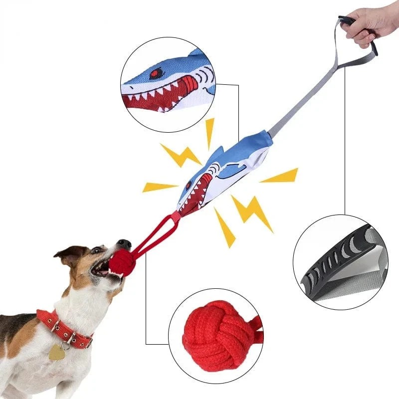 Jouet Traction Interactif Gros Chien